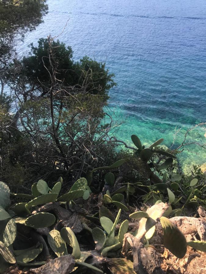 Il Polpoleo In Porto Azzurro Isola D'Elba Apartamento Exterior foto